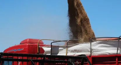 Los precios de los granos han mostrado fuertes aumentos.