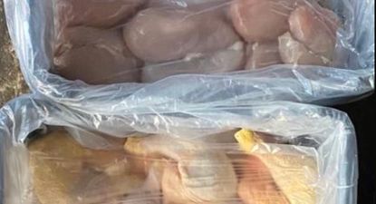 Carne aviar: producción nacional, fresca.