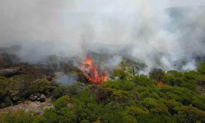 Riesgo “muy alto” de incendio forestal en casi todo el país