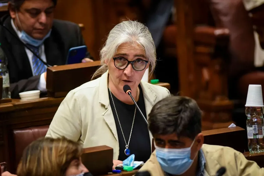 Diputada interpelante, Lucía Etcheverry