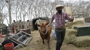 La Expo Prado 2022 se hará en setiembre.