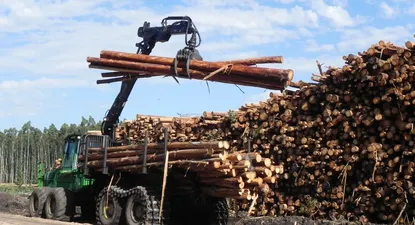 Hay algunas buenas señales en los mercados de la madera