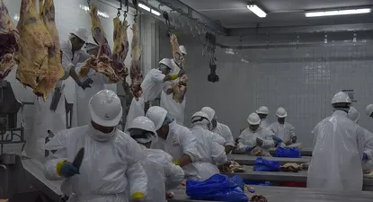 Carnes exportadas: considerando todos los productores, este año se obtendrán unos US$ 2.600 millones.