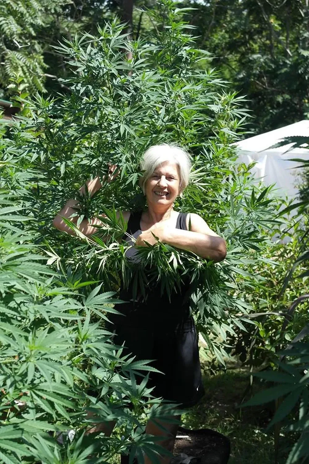 Alicia Castilla, autora de dos libros: Cultura cannabis y Cultivo cannabis