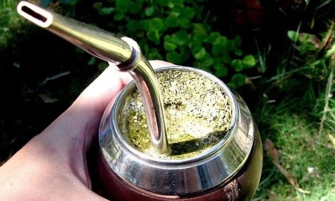 Descubren un efecto totalmente desconocido de la yerba mate contra el dengue