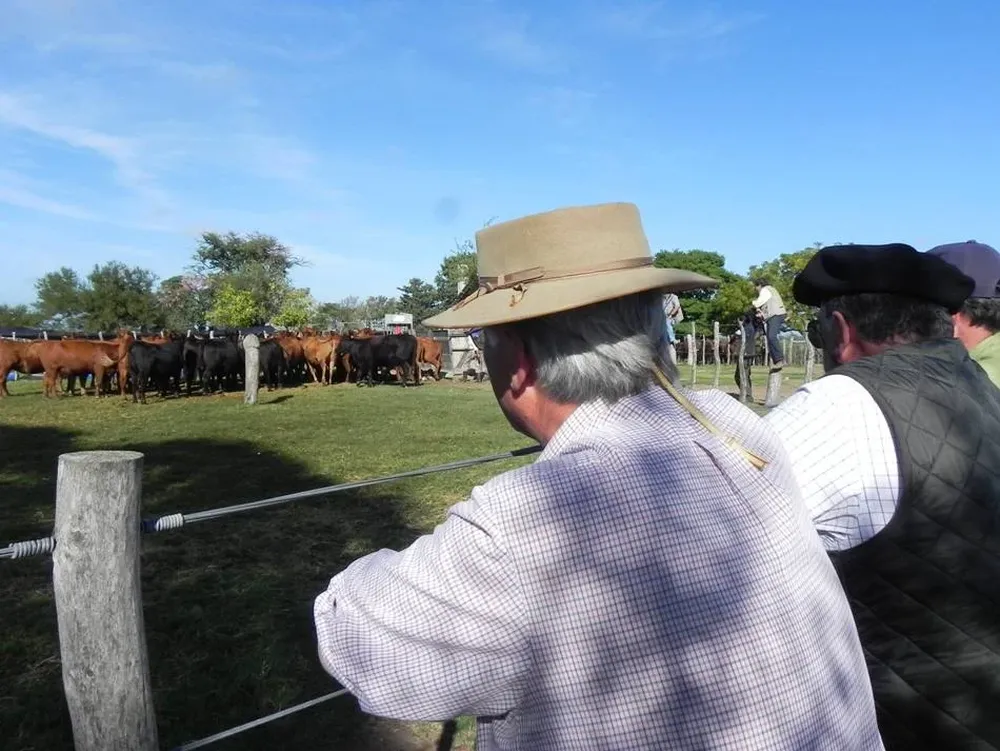 Se observarán rodeos de importantes empresas