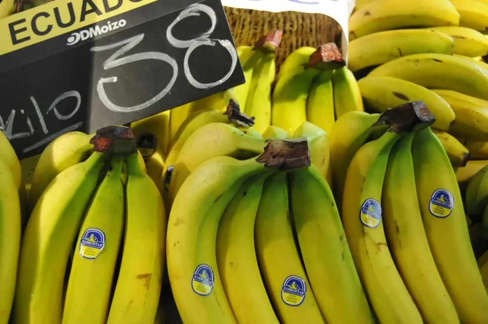 Cuatro consejos básicos para que la banana no se pudra tan rápido