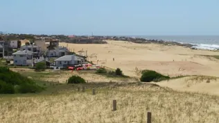 Subastarán solares y chacras en Rocha y en Maldonado