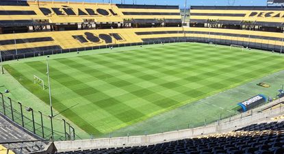 El estado del césped del Estadio Campeón del Siglo luce impecable