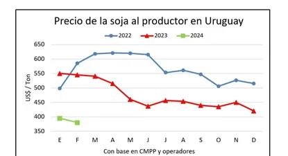 El Observador | 1707566938568.webp
