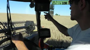 Agricultura: va concluyendo una cosecha soñada para los principales cultivos, soja y arroz.