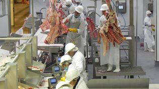 Carnes: las exportaciones del sector agroindustrial cárnico siguen siendo de alta relevancia para Uruguay.