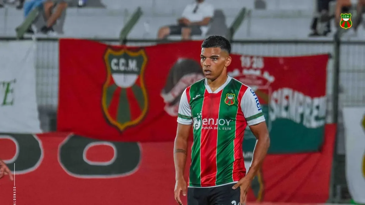 Así se juega la fecha 11 del Torneo Apertura 2024: día, hora, canchas y ...