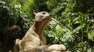 La fuente del Puma: ícono de la Rerserva Natural Salus. 