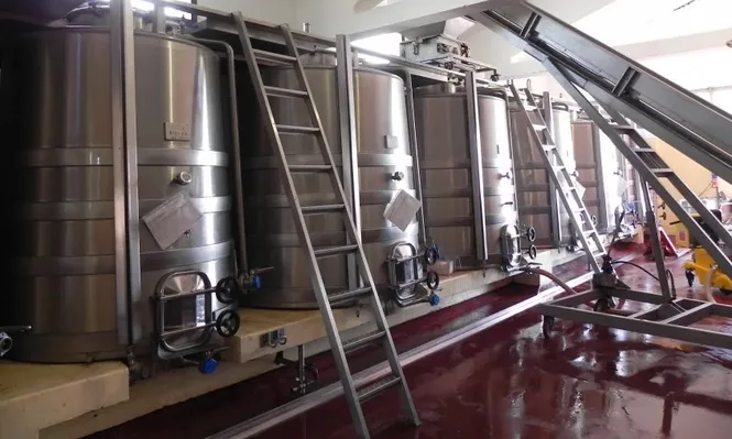 Los nuevos beneficios dispuestos por UTE alcanzan a regantes y bodegueros.