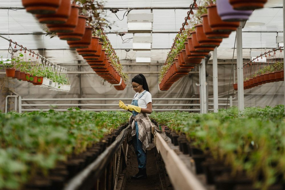 Mujeres con proyectos vinculados al agro y a la pesca serán asistidas con financiamiento.