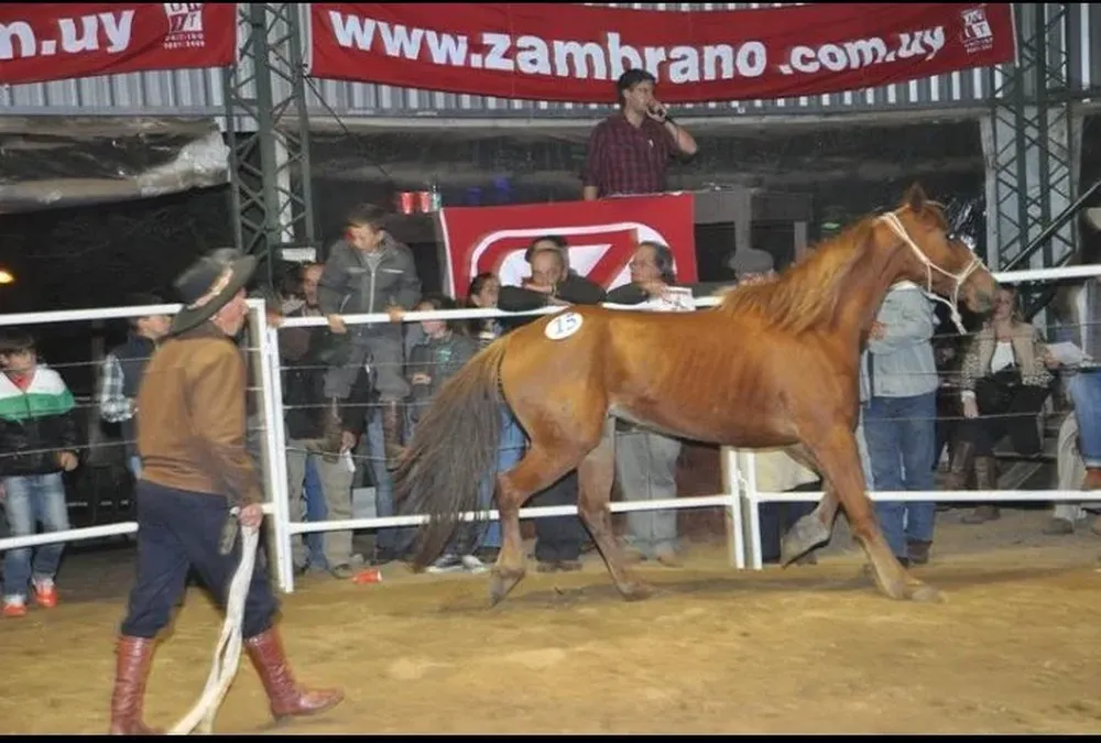 Este sábado desde la hora 18 en la Manguera de la Rural del Prado