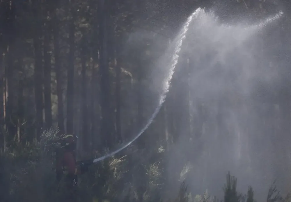 Hay que prevenir los incendios todo el año, retirando leña caída, rastrojos o maleza, afirman los expertos en emergencias.