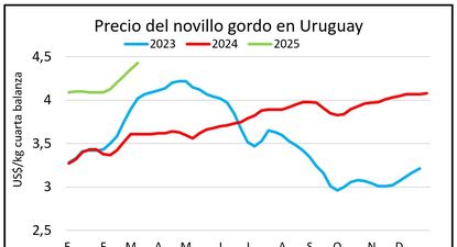 Mercado ganadero, por Blasina y Asociados.