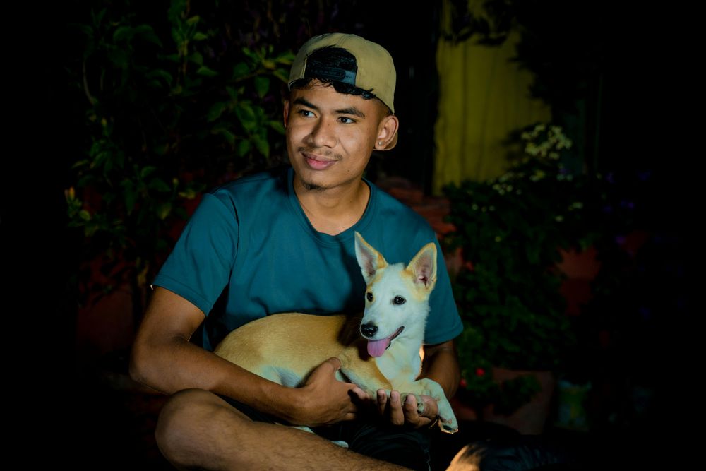Los perros pueden deambular por la noche en busca de un lugar cómodo para dormir.  