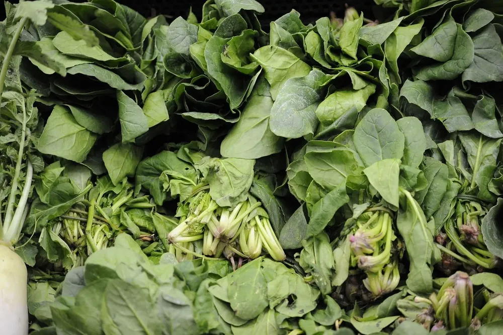 La espinaca es una fuente rica en vitamina K