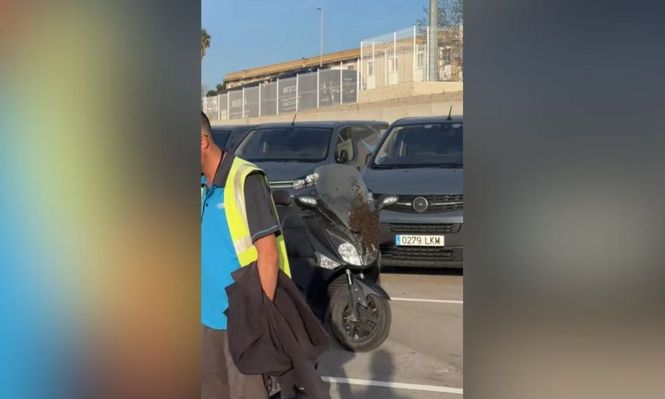 En Valencia, un hombre fue a buscar su moto y lo que encontró causó furor en las redes.