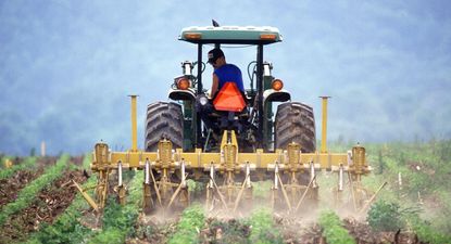 Granja: aplicación de productos para protección de los cultivos.