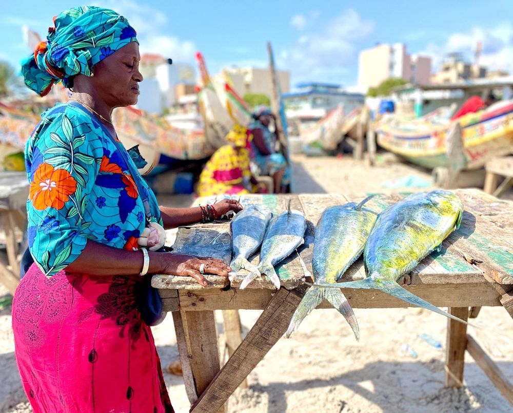Pesca en pequeña escala, una actividad de alta relevancia, también en Uruguay con base en lo que el trabajo científico consideró.