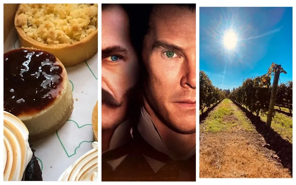 Dulces, series y vino, entre otros destacados de esta edición de Picnic!