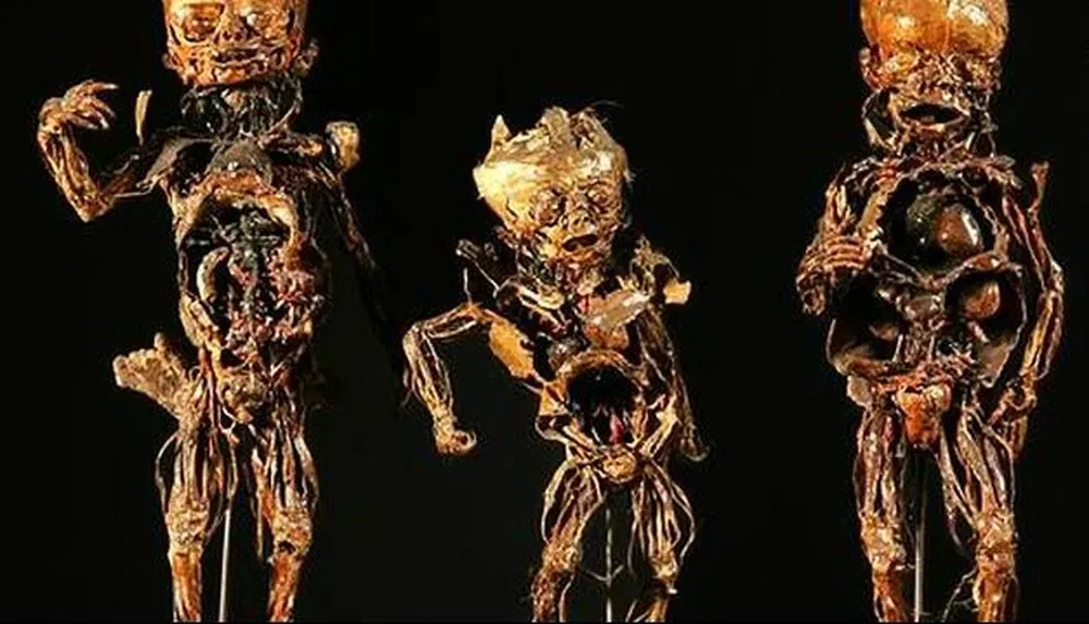 Museo Fragonard, Francia          Las curiosidades son las estrellas en el Musée Fragonard, repleto de esqueletos y muestras anatómicas que comenzaron a sumarse en el siglo XVIII. En el armario de los especímenes perturbadores, señala CNN, se hallan los cuerpos desolladas por el experto anatomista Honoré Fragonard hace 200 años.