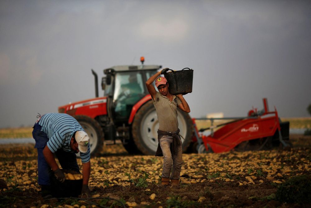 La agricultura murciana depende de la mano de obra migrante.