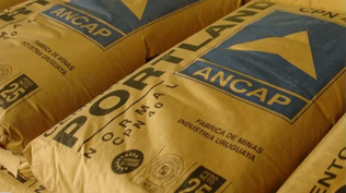 Ancap prepara remate de horno de portland millonario que nunca se instaló