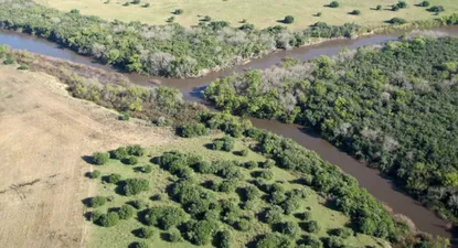 El Observador | 0002490266.webp