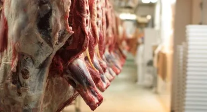 China observó a frigorífico por presencia de residuos de fluazuron