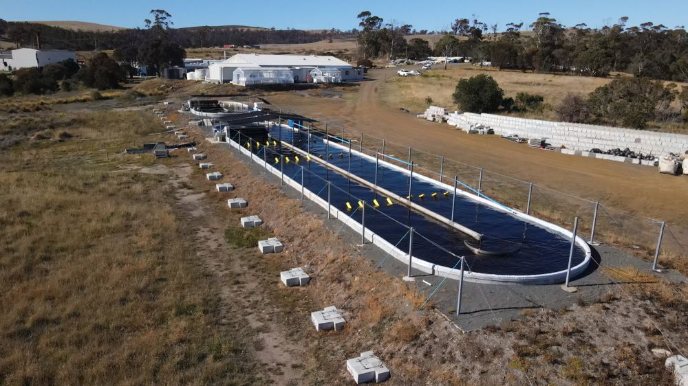 Granja de investigación en Australia: sede de Sea Forest en Triabunna, Tasmania.