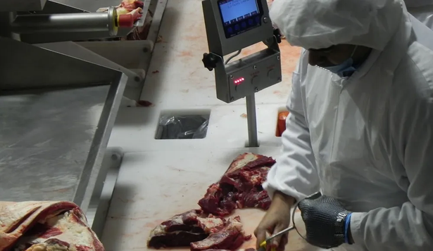 Industria frigorífica necesita imperiosamente crecer y conquistar mercados de Asía-Pacífico