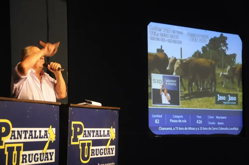 El remate se desarrolló este viernes en la Rural del Prado