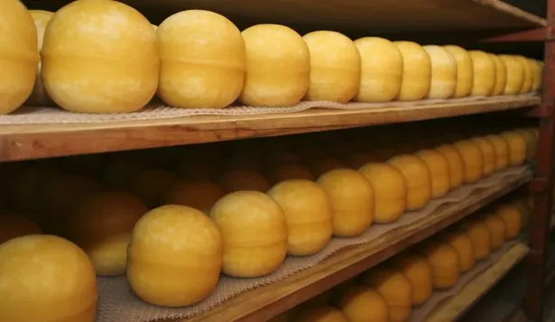 Precios globales de los alimentos tocaron menor nivel en seis años