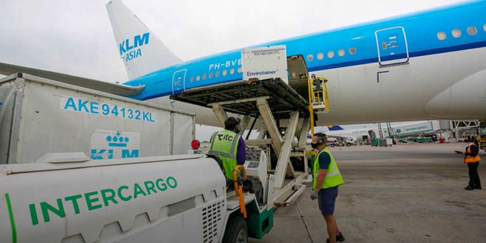 El Gobierno busca privatizar Intercargo.