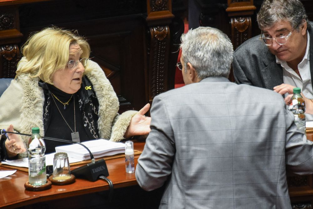 Graciela Bianchi, Robert Silva y Sergio Botana, tres de los senadores que negocian por Caja de Profesionales