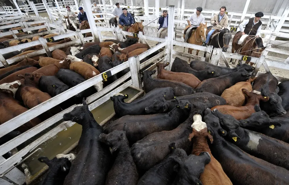 Ganaderos trancaron la venta de haciendas como medida de protesta ante lo decidido por el gobierno.