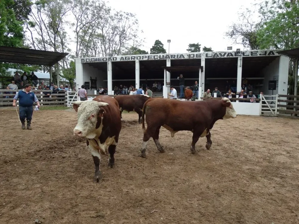 Remataron Escritorio Dutra y Fernando de la Peña Negocios Rurales