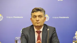 Peligrosos, poco felices o sin efecto: la opinión de tres economistas tras los dichos de Alfie sobre el peso