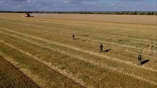 Soldados rusos en campos ucranianos.