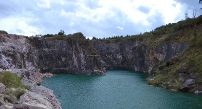 Nueva Carrara fue furor en 2021