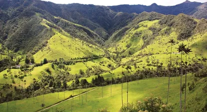 El Observador | 1537220261619.webp