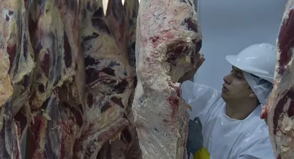 El Observador | _lcm2940.webp