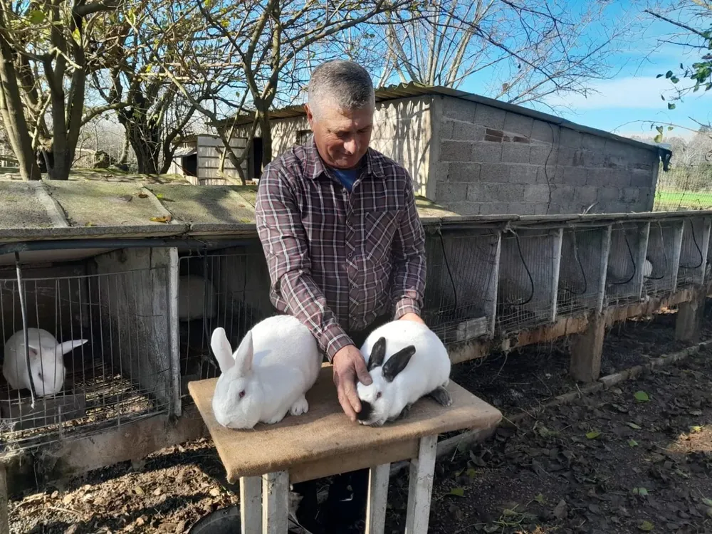 Luis con un ejemplar Neocelandés y otro Californiano.