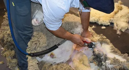 El Observador | 1609286483931.webp