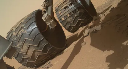 El Observador | 0000348203.webp